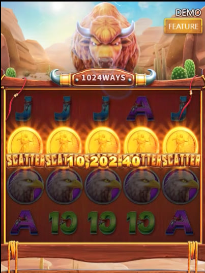 Coinbet24 Casino